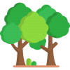 forest forest